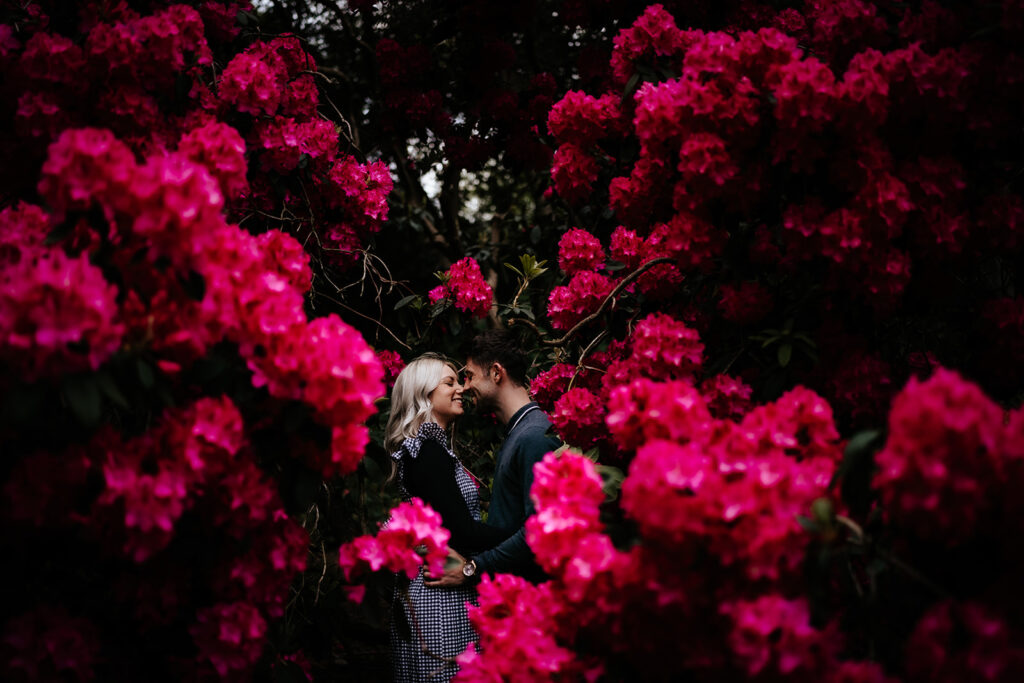 Newly engaged couple at Hylands Park pleasure garden in Chelmsford, Essex