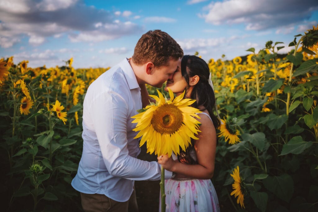 Honica and Ben in the sunflower fields at Writtle during their Essex engagement session — couple embracing among tall sunflowers on a summer's day, photographed by Tel, Lily & White